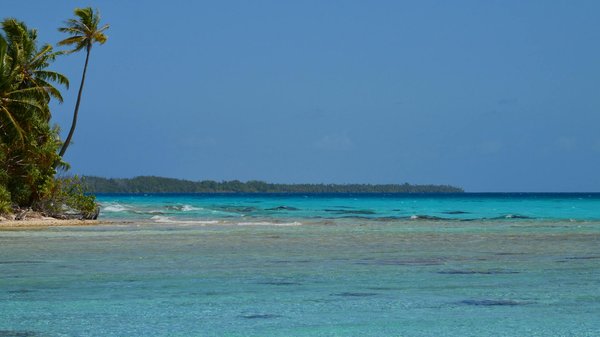 Quelles croisières permettent de découvrir les traditions de la culture viking en Norvège?