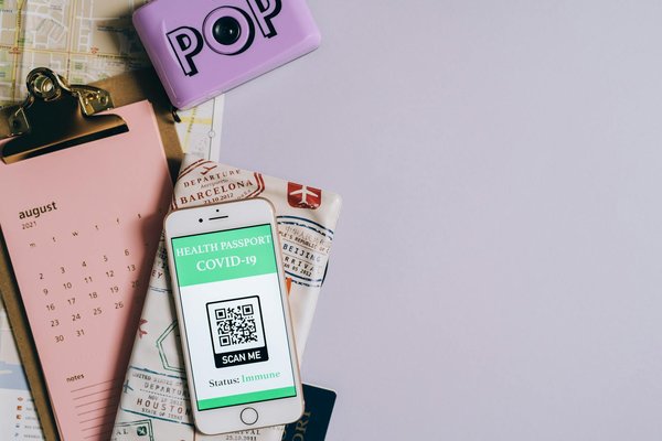 Quels sont les meilleurs spots pour la plongée avec les requins-baleines à Isla Mujeres, Mexique ?